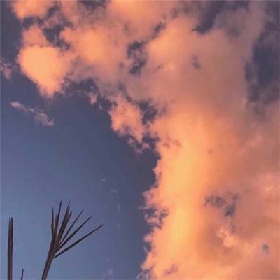 吉祥物扣篮游戏官方