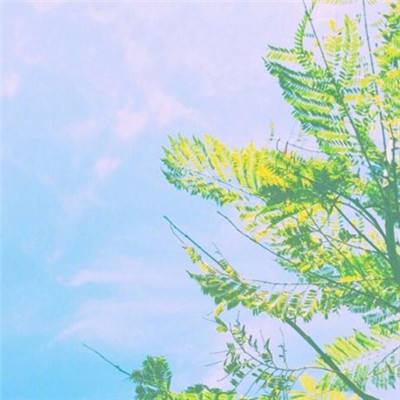 御龙传说内购破解版下载